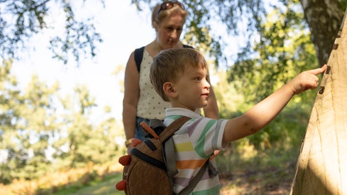A young boy and his mum looking at one of the sculptures on a woodland trail at Sutton Hoo